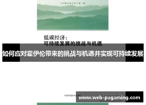 如何应对霍伊伦带来的挑战与机遇并实现可持续发展