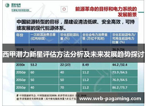 西甲潜力新星评估方法分析及未来发展趋势探讨