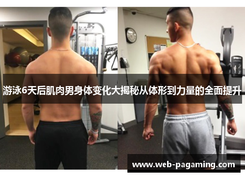 游泳6天后肌肉男身体变化大揭秘从体形到力量的全面提升