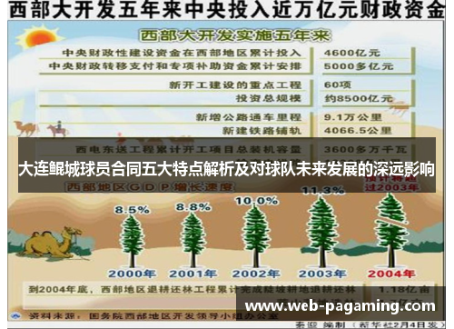 大连鲲城球员合同五大特点解析及对球队未来发展的深远影响