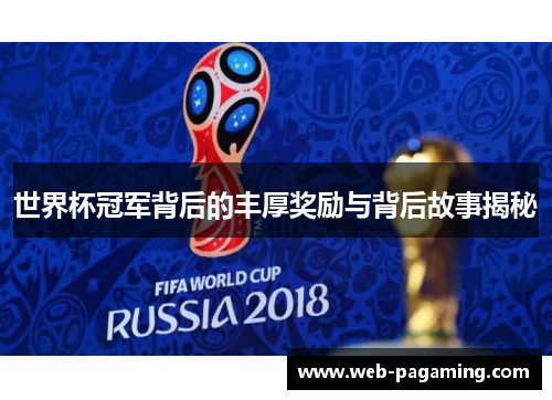 世界杯冠军背后的丰厚奖励与背后故事揭秘