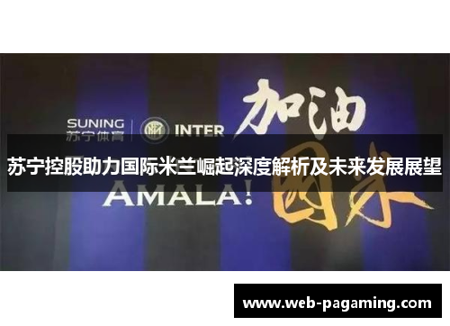 苏宁控股助力国际米兰崛起深度解析及未来发展展望