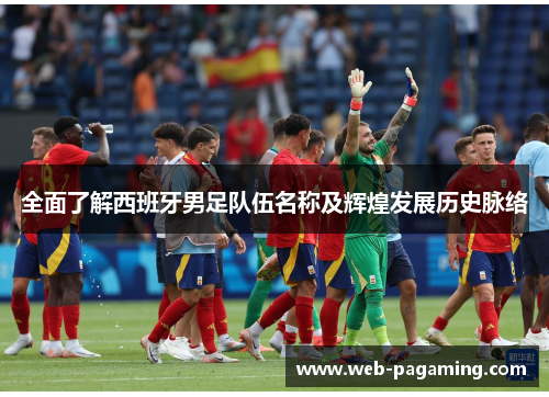 全面了解西班牙男足队伍名称及辉煌发展历史脉络