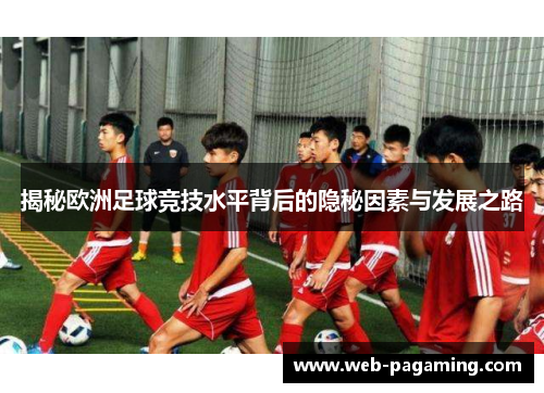 揭秘欧洲足球竞技水平背后的隐秘因素与发展之路