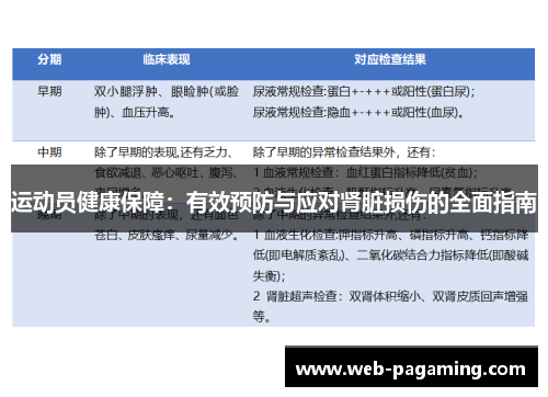 运动员健康保障：有效预防与应对肾脏损伤的全面指南