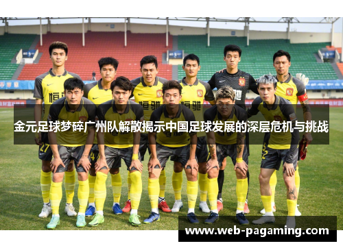 金元足球梦碎广州队解散揭示中国足球发展的深层危机与挑战