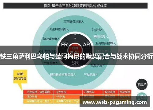 铁三角萨利巴乌帕与楚阿梅尼的默契配合与战术协同分析