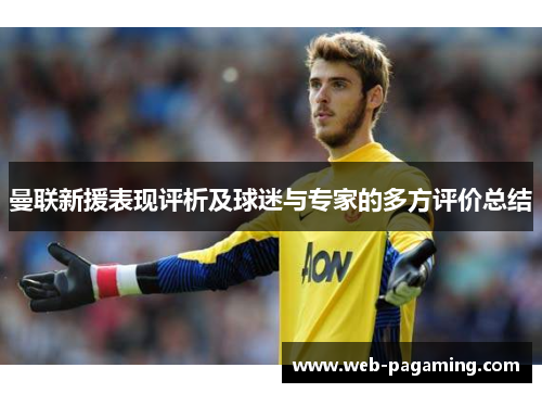 曼联新援表现评析及球迷与专家的多方评价总结