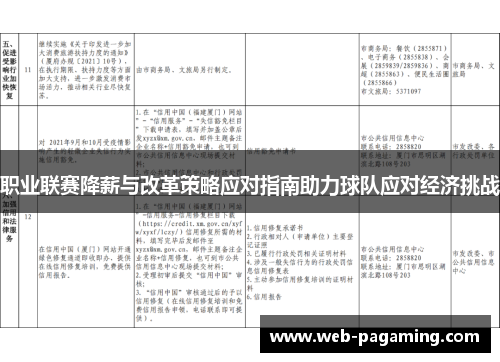 职业联赛降薪与改革策略应对指南助力球队应对经济挑战 职业联赛降薪与改革策略应对指南助力球队应对经济挑战