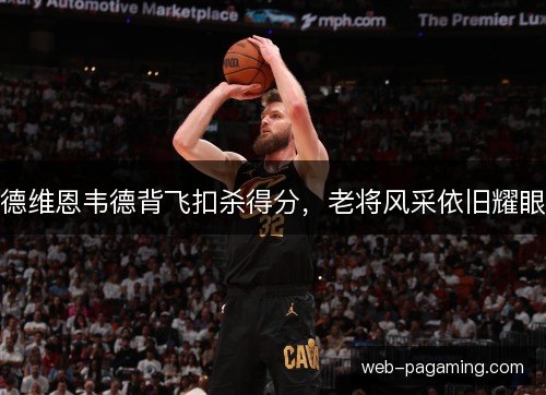 德维恩韦德背飞扣杀得分，老将风采依旧耀眼
